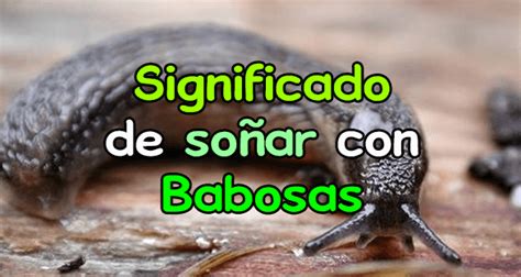 que significa soñar con babosas|Significado de Soñar con Babosas: Interpretando tus Sueños .